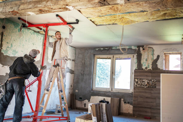 Best Eco-Friendly Insulation in Jacksonville, FL