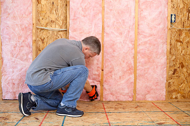 Types of Insulation We Offer in Jacksonville, FL